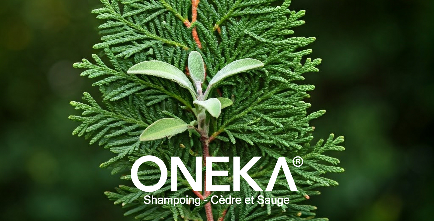 Shampoing Oneka | Cèdre & Sauge