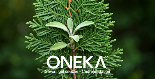 Gel douche et savon à mains Oneka | Cèdre & Sauge